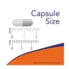 Aloe 10,000 & Probiotics 5 Billion – NOW Foods – 60 Veg Capsules thumbnail